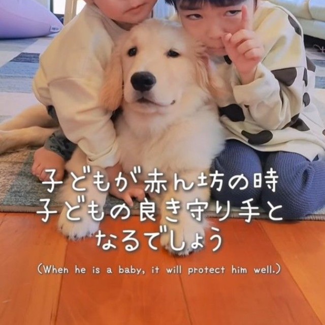 仲良し3兄弟！あんちゃん、ていちゃん、エルちゃん