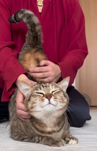 毎日のエステはかかせません♡（つむぎちゃんの飼い主さん提供、Instagramよりキャプチャ撮影）
