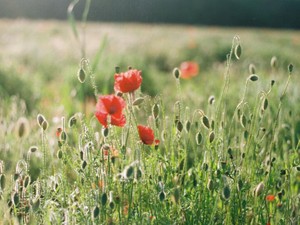 「最近、適当になったよね」と言われて、私は思わずずニヤリとした