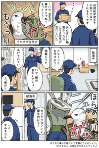 【漫画】『かもめを拾った話』3（タニシさん提供）