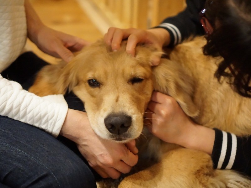 「きっとこれを幸せっていうんだね」「みんな幸せになりますように」