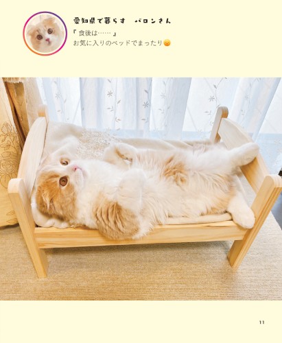 『食後は……』お気に入りのベッドでまったり（へそ天にゃんこ２/三笠書房）