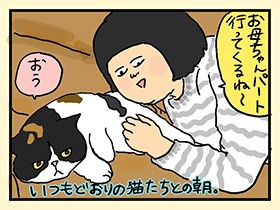 愛猫「イクラ」の様子がおかしい！　やっぱ、猫じゃけぇ(45)