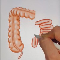 あっという間に小腸が描けます！（画像提供：だーいしさん　※動画よりキャプチャ、画像を一部トリミング）