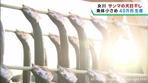 冬の風物詩　サンマの天日干し始まる　宮城・女川町