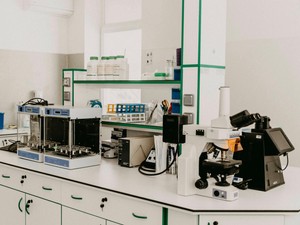 高1で決断し参加した研究から大学へ。直感は本当に必要な選択へ導く