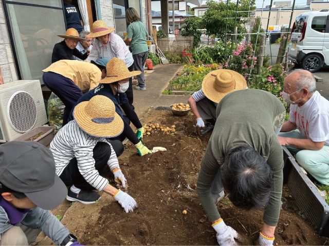じゃがいも収穫