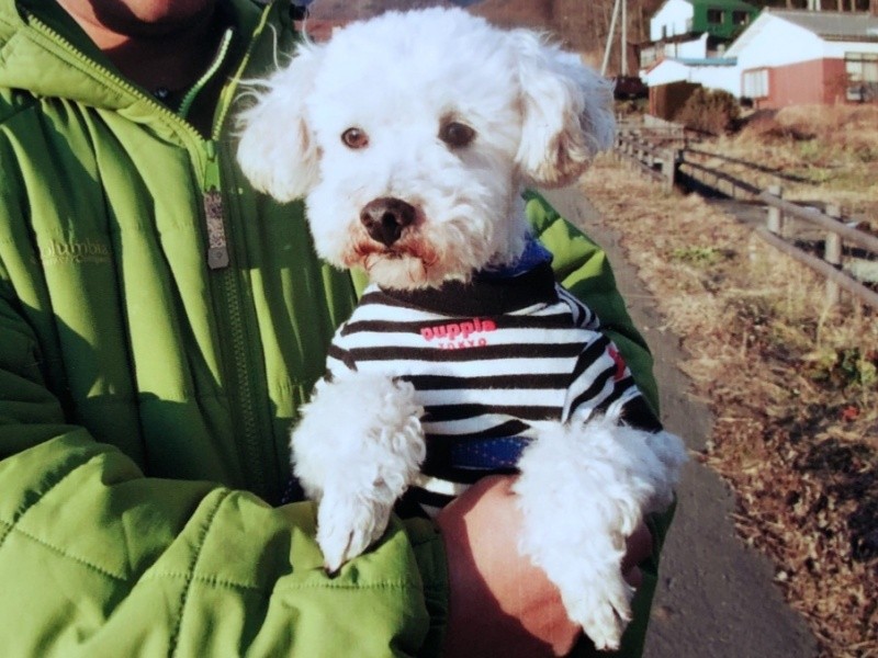 散歩中に撮った思い出の1枚