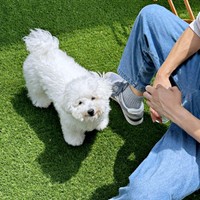 お外で遊べてうれしいムーンちゃん（画像提供：めろみちゃんとむんちゃんさん）