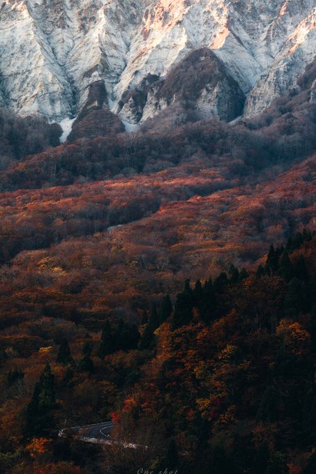 2022 紅葉と大山（提供：Kadowakiさん）
