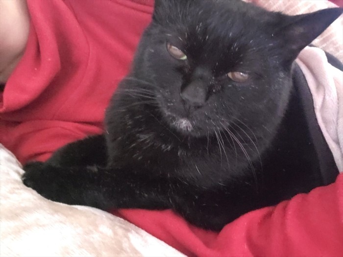 いつもケアしてあげるこちらがダウンして、癒やしのパワーをくれました