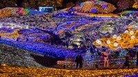 国営讃岐まんのう公園で20年目のイルミネーション　11月29日から　香川