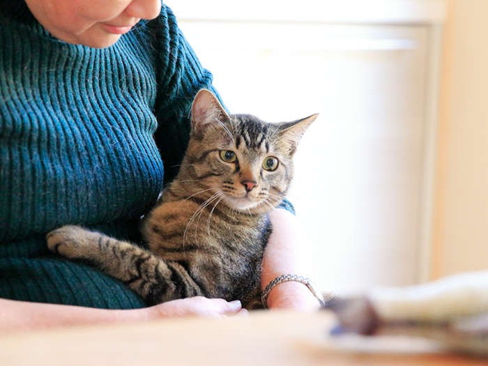 一方、棗は腕の中（僕も遊びたいなぁ）
