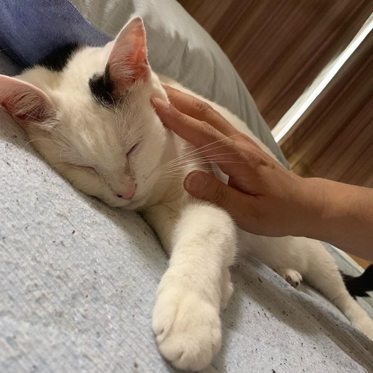 スヤスヤおやすみ