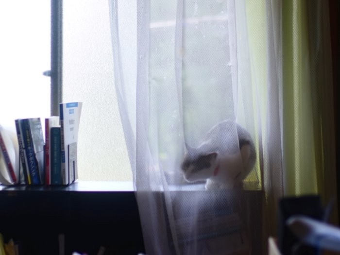 ２階の部屋でかくれんぼ中