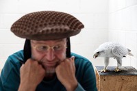 ELGIN, SCOTLAND: Howard Waller is one of the world's premier Falcon breeders. He is seen inside the cage of a male Gyr Falcon on whom he has imprinted. The male views Howard as a mate and when it is mating season, this bird will fly onto the hat Howard is wearing and ejaculate. Howard will collect the semen and use it for artificial inseminization in a sophisticated breeding program. He breeds exclusively for Sheikh Butti bin Maktoum, part of the royal family in Dubai. Howard sees captive breeding of elite falcons as the best means to stop wild trapping. In recent years there has been a dramatic fall off in wild bird trafficking to the U.A.E, this is due to the high mortality rates, uncertainty over the health and DNA of wild caught falcons as well as its uncertain hunting pedigree. The availability of superior captive-bred hunting falcons of a superior hybrid pedigree has come to replace much of wild capture in the falconry world.  Howard built his original DNA breeding base out of wounded and confiscated falcons brought illegally into Dubai. All of his birds are for Sheikh Butti and there is no commercial aspect to this operation. The Sheikh finances it all independently. The fact that Howard has no commercial motivation has resulted in a science that has produced the breeding of some of the finest Falcons in the world. Howard specializes in breeding hybrid birds combining the size and strength of the Gyr Falcon with the agility and intelligence of the Peregrine. This is the perfect combination to achieve the ultimate hunting falcon. Howard also breeds other combinations like the Saker-Gyr hybrid.