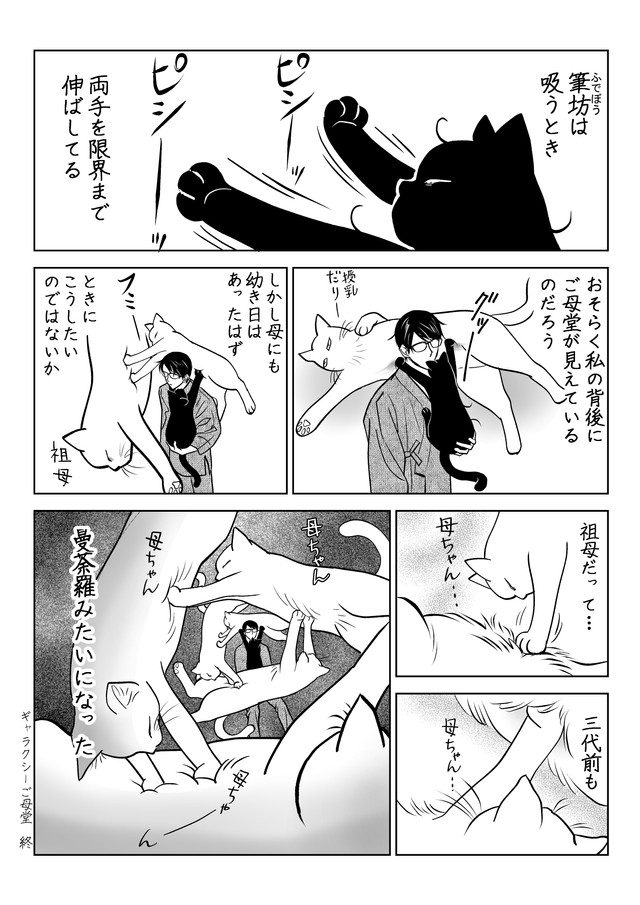 【漫画】『うちの猫は様子がおかしい。まとめ③』11（筆坊日記さん提供）