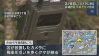 仙台・宮城野区でクマの目撃が相次ぐ　箱わな設置し駆除へ