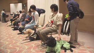 盲導犬との生活　門出祝う「出発式」　「パピーウォーカー」不足で１年待ちも