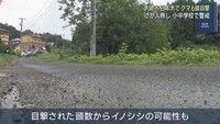 クマ６頭の目撃情報　イノシシの可能性も　宮城・大崎市