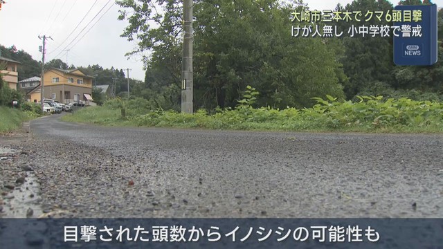 クマ６頭の目撃情報　イノシシの可能性も　宮城・大崎市