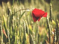 否定ばかりされてきた大人からの褒め言葉。心にほんの少し光が刺した