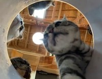 ※長崎バイオパーク提供