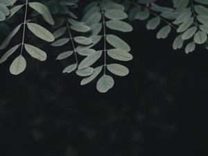 亡くなって知った学費の話。おじいちゃんに伝えたい「ありがとう」