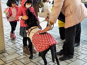 見守りと声かけを！　 盲導犬連れ男性ホーム転落事故から１年