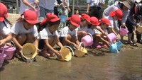 海の恵みを感じて　園児が海水浴場でクルマエビを放流　香川・坂出市