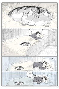 【漫画】「掛け布団の上のネコ」（キュルZさん）
