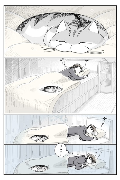 【漫画】「掛け布団の上のネコ」（キュルZさん）