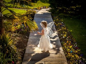 私は親になった今、息子も喜ぶかなと思って歯の妖精を演じている