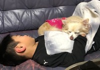 さくちゃんとクーちゃん、一緒にお昼寝