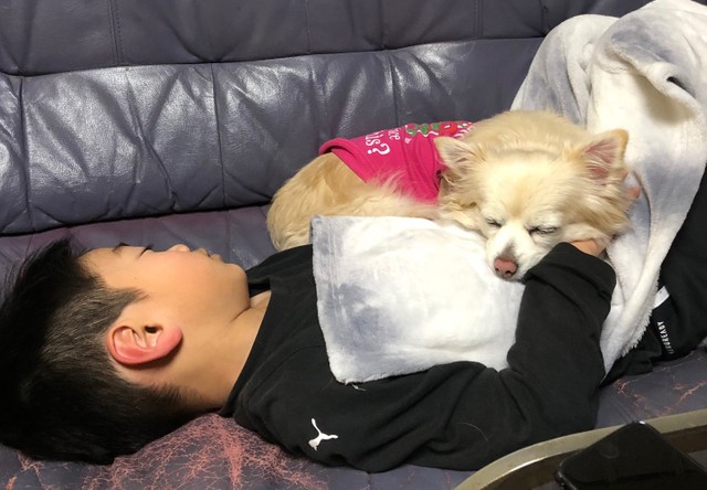 さくちゃんとクーちゃん、一緒にお昼寝