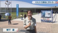 柳下遥リポート