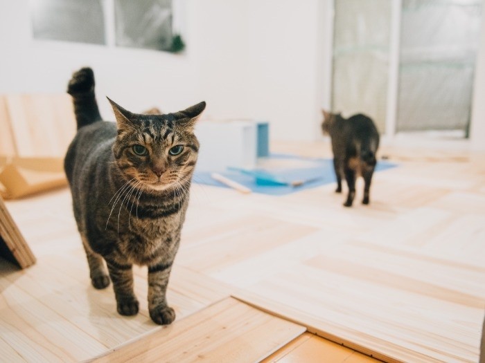 １階をスタジオに改築した時