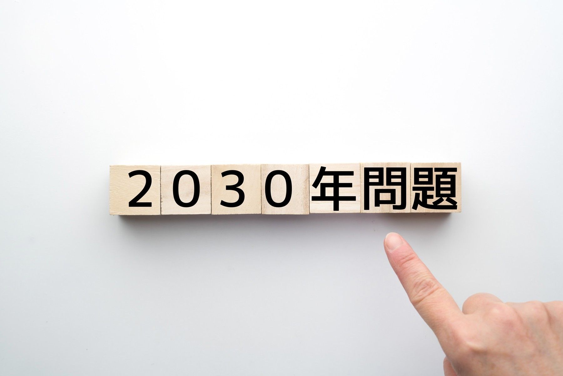2030年問題画像1