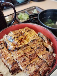うな丼