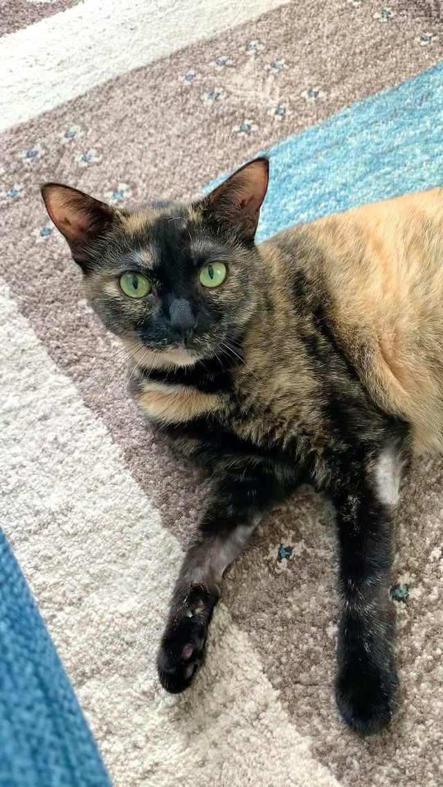 朝の一コマ、ご機嫌さん