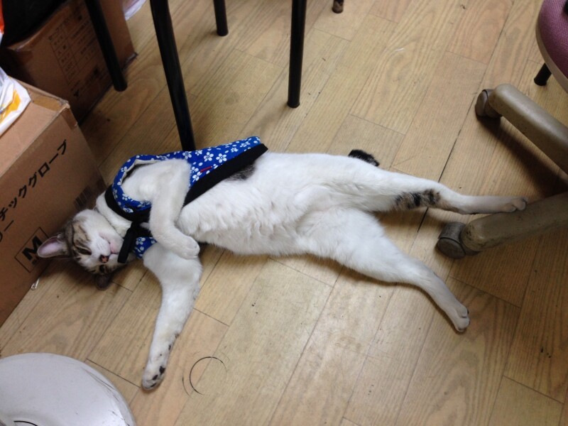 会社の床でへそてんで脱力（A子さん提供）