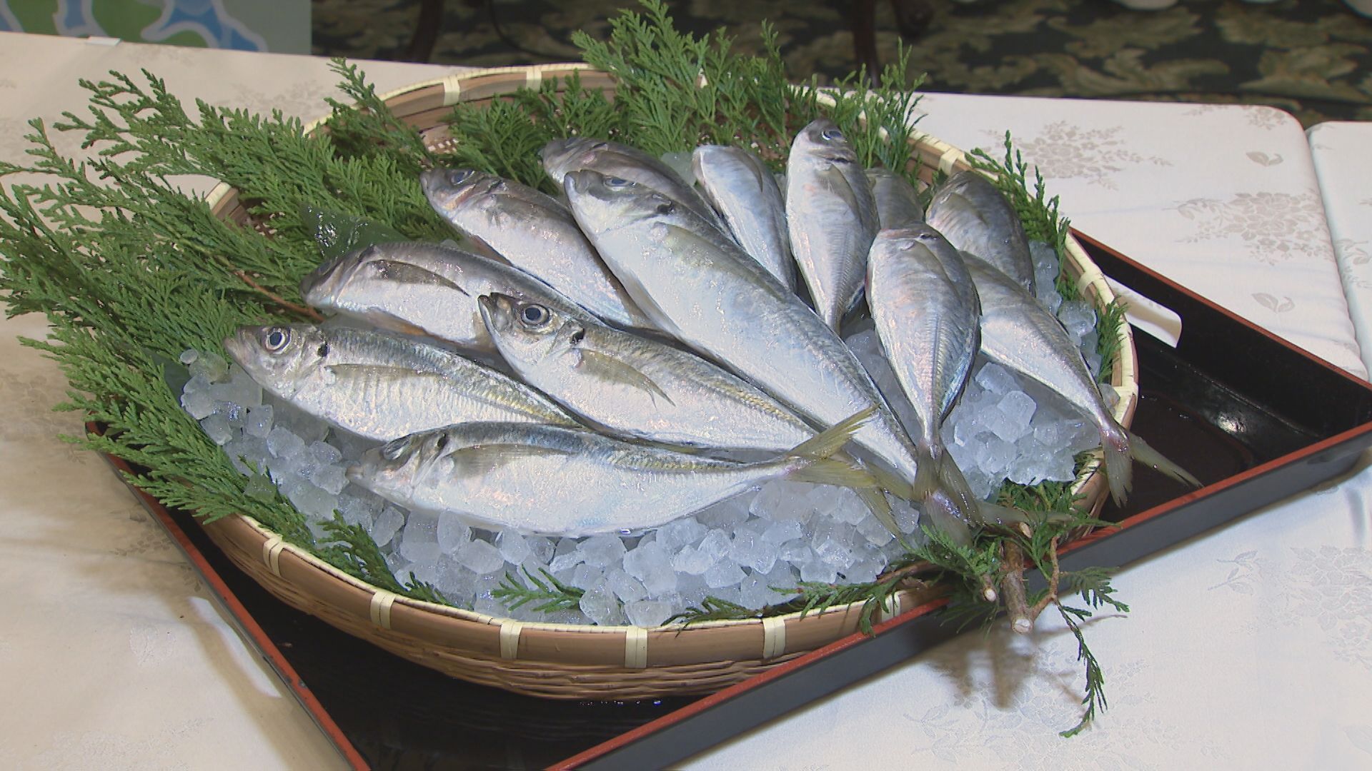 消費拡大目指して「推し魚」第2号に松浦市「マアジ」選定(1) | 長崎
