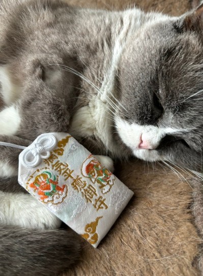 抗がん剤治療中。体重の増減はあったが、副作用は見られなかった