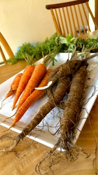 美味しそう～！！（画像提供：ぽたろうの家庭菜園HACKさん）