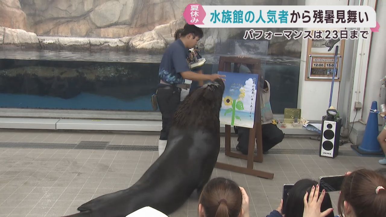 仙台うみの杜水族館　人気者から残暑お見舞い