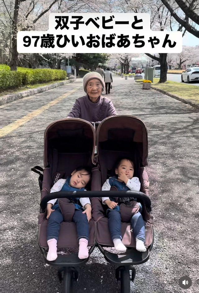 双子ベビーとお花見に行くひいおばあちゃん（提供：@obaachanhimagoさん）