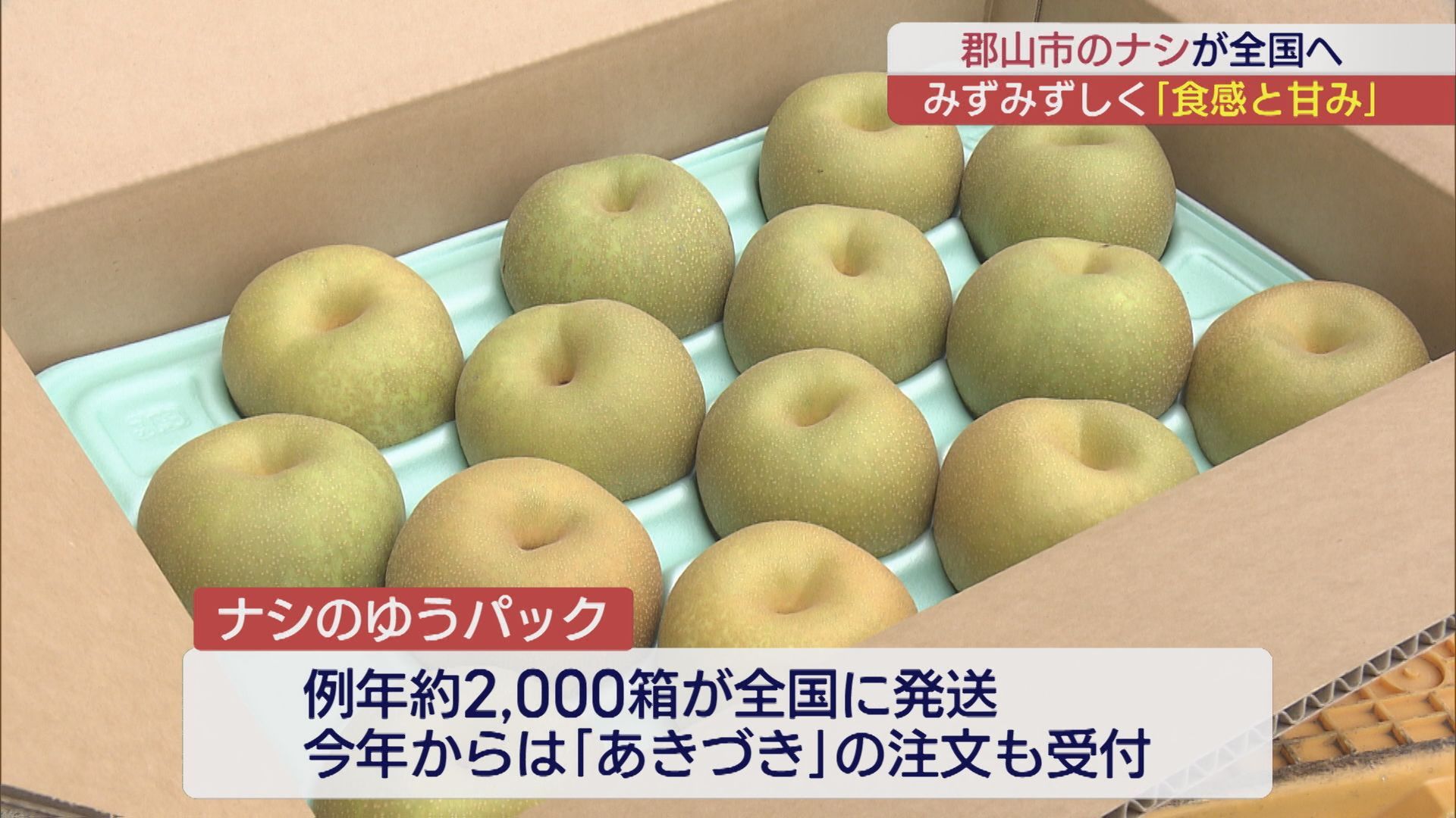 秋の味覚 郡山のナシ ゆうパックでの発送始まる | ふくしまNEWS KFB