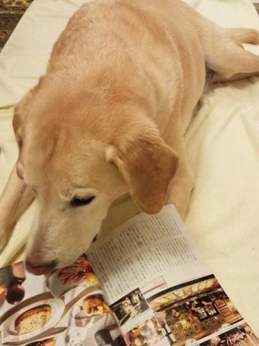 食いしん坊で、食べ物の雑誌を見るのが好きだっだそう