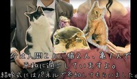結婚式にはぐいちゃんたちもパネル出演したそう／飼い主さん提供