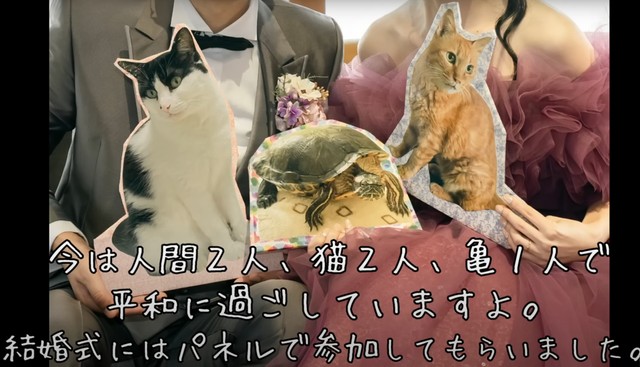 結婚式にはぐいちゃんたちもパネル出演したそう／飼い主さん提供